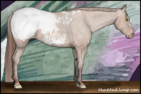 Horse Color:Sable Champagne Snowcap 