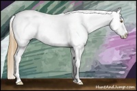 Horse Color:Classic Cream Champagne Snowcap 