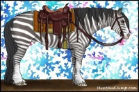 Horse Color:Grullo Sabino 