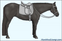 Horse Color:Smoky Black 