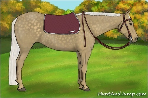 Horse Color:Silver Smoky Black 