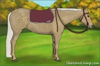 Horse Color:Silver Smoky Black 