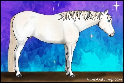 Horse Color: White Spotted Perlino Dun 