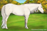 Horse Color:Palomino Pearl Dun Splash 