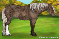 Horse Color:Silver Bay Ice Dun 