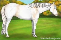 Horse Color:White Spotted Silver Buckskin Pearl Sabino 