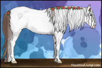 Horse Color:White Spotted Classic Champagne Appaloosa 