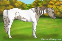 Horse Color:Smoky Grullo Tobiano Blanket 