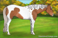 Horse Color:Silver Bay Tobiano