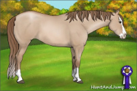 Horse Color:Grullo Pearl Sabino Splash 
