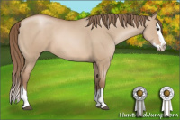 Horse Color:Grullo Pearl Sabino Splash 