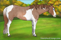 Horse Color:Liver Red Roan Splash Tobiano Rabicano 