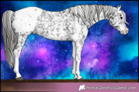 Horse Color:Black Sabino Splash Snowcap 