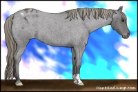 Horse Color:Smoky Blue Roan Varnish 