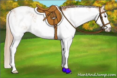 Horse Color: Unknown 