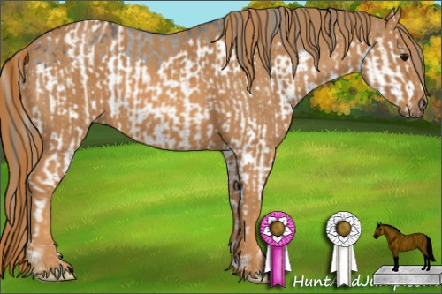 Horse Color: Grullo Splash Varnish  Brindle