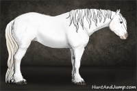 Horse Color:Red Dun Ice Tobiano Snowcap 
