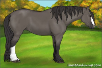 Horse Color:Smoky Grullo 