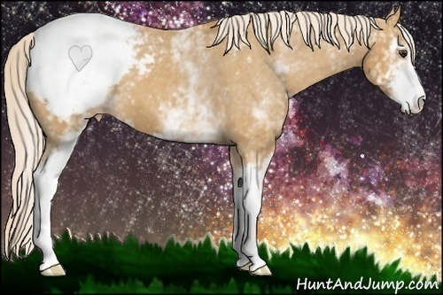 Horse Color:White Spotted Palomino Sabino Snowcap 