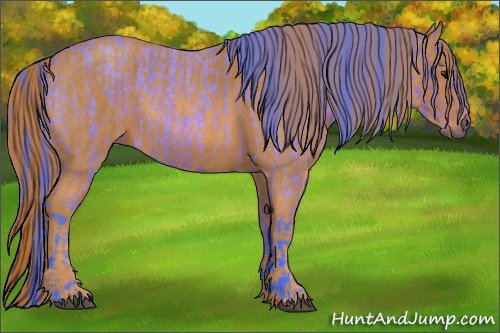 Horse Color: Watercolor Bay Roan Rabicano  Brindle