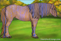 Horse Color:Watercolor Bay Roan Rabicano  Brindle