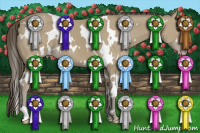 Horse Color:White Spotted Classic Cream Champagne