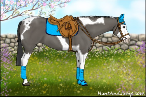 Horse Color: Grullo Splash Tobiano 