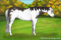 Horse Color:Brown Splash Frame 
