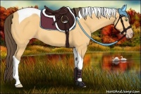 Horse Color:Amber Cream Champagne Tobiano 