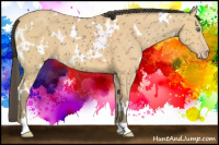 Horse Color:White Spotted Amber Cream Champagne 