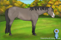 Horse Color:Black Sabino Splash 