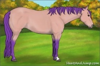 Horse Color:Watercolor Buckskin 