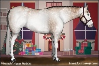 Horse Color:Gray White Spotted Amber Champagne