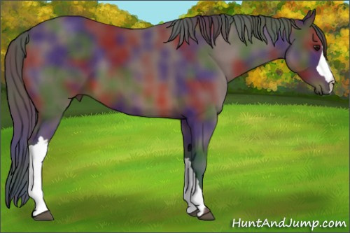 Horse Color: Nacre Brown 