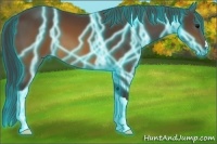 Horse Color:Thunderstruck Buckskin 