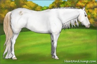 Horse Color:Buckskin Roan Dun Varnish