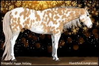 Horse Color:White Spotted Palomino Appaloosa