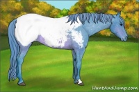 Horse Color:Watercolor Brown Appaloosa Rabicano 