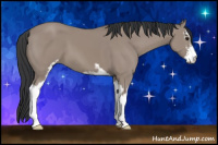 Horse Color:Grullo Sabino