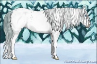 Horse Color:Gray Watercolor White Spotted Black Splash Appaloosa 