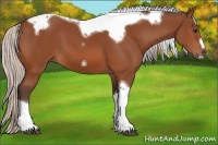 Horse Color:Silver Bay Tobiano Frame 