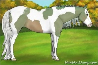 Horse Color:Watercolor Silver Bay Splash Tobiano 
