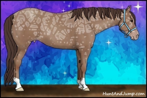 Horse Color: Classic Champagne Ice 