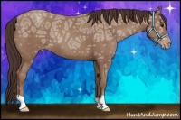 Horse Color:Classic Champagne Ice 