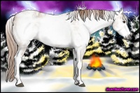 Horse Color:Gray White Spotted Red Dun Ice Rabicano 