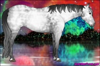 Horse Color:Gray Smoky Black Ice 