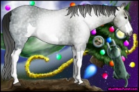 Horse Color:Gray Black Ice 