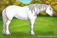 Horse Color:Liver Chestnut Splash Frame Snowcap 
