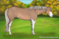 Horse Color:Silver Brown Roan Dun Sabino 