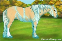 Horse Color:Thunderstruck Palomino 